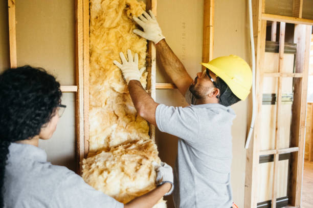 Best Attic Insulation Installation  in Earlysville, VA